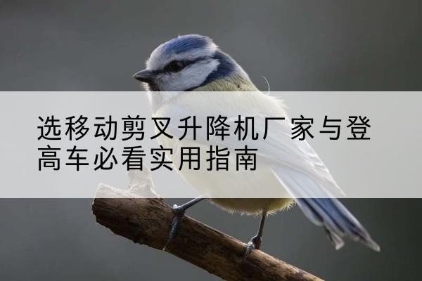 图木舒克电动升降机厂家-选移动剪叉升降机厂家与登高车必看实用指南
