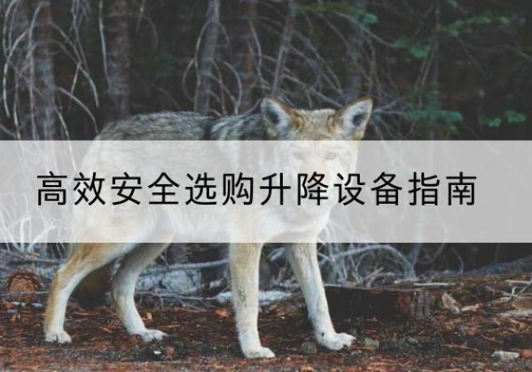 图木舒克升降货梯厂家推荐-*安全选购升降设备指南